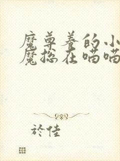 魔尊养的小小魅魔总在喵喵叫