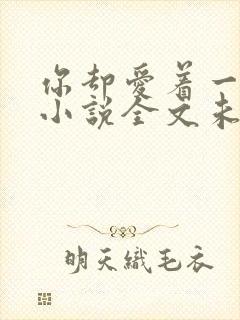 你却爱着一个他小说全文未删减免费