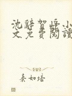 沈辞贺峥小说全文免费阅读