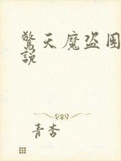 惊天魔盗团2解说