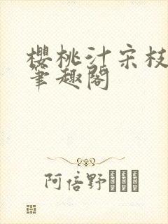 樱桃汁宋枝江野笔趣阁封面