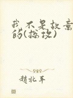 我不是故意出轨的(总攻)