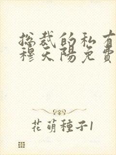 总裁的私有宝贝穆天阳免费封面