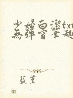 少妇白洁txt无弹窗笔趣阁