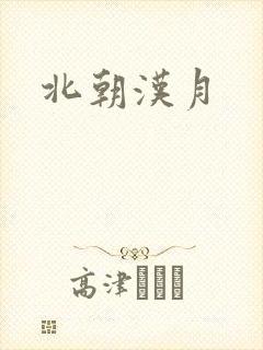 北朝汉月封面