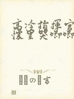 高冷指挥官在我怀里哭唧唧第二季