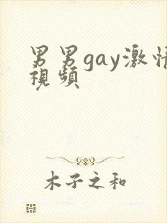 男男gay激情视频