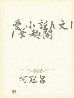 爱小说h文1v1笔趣阁