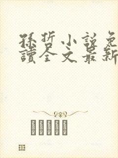 孙哲小说免费阅读全文最新章节封面