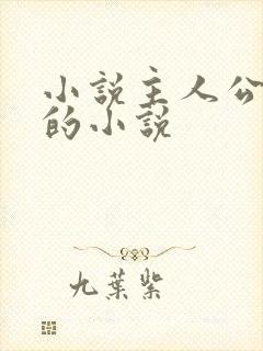 小说主人公张浩的小说