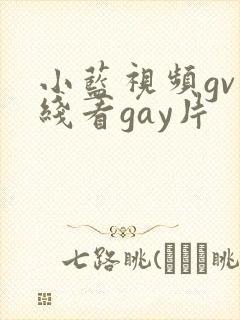 小蓝视频gv在线看gay片