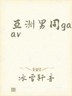 亚洲男同gayav