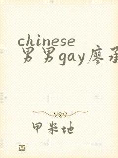 chinese男男gay廖承宇网站封面