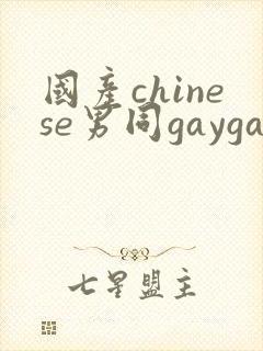 国产chinese男同gaygay网站