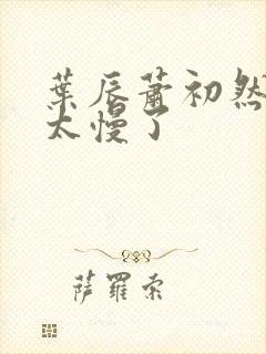 叶辰萧初然更新太慢了