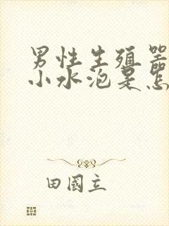 男性生殖器上长小水泡是怎么回事?