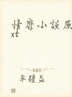 情靡小说原著txt