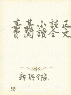 某某小说正版免费阅读全文无弹窗