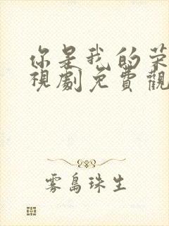 你是我的荣耀电视剧免费观看全集高清