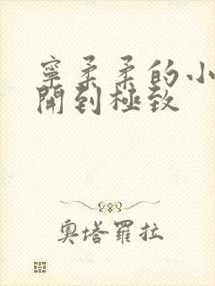 宁柔柔的小泬撑开到极致