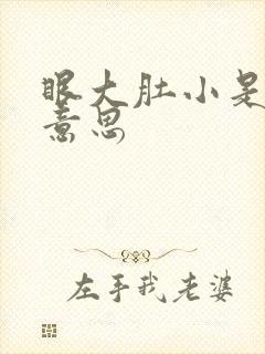 眼大肚小是什么意思