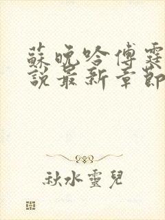 苏晚吟傅霆骁小说最新章节更新时间