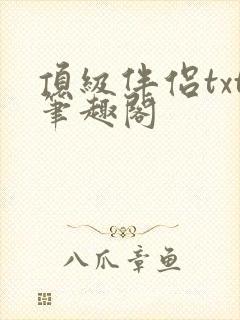 顶级伴侣txt笔趣阁