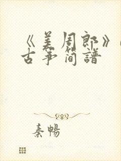 《美周郎》d调古筝简谱