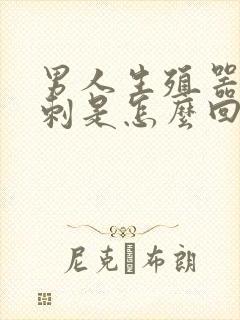 男人生殖器长粉刺是怎么回事