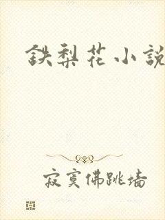 铁梨花小说