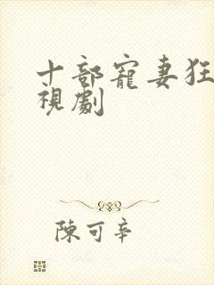 十部宠妻狂魔电视剧