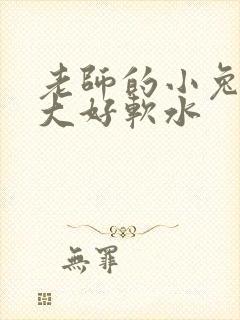 老师的小兔子好大好软水