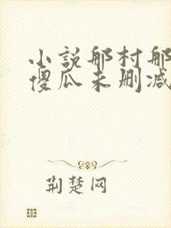 小说那村那人那傻瓜未删减版