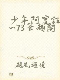 少年阿宾钰慧1~73笔趣阁