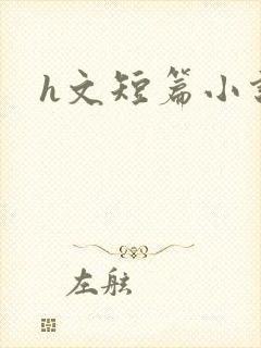 h文短篇小说