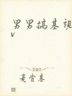 男男搞基视频gv