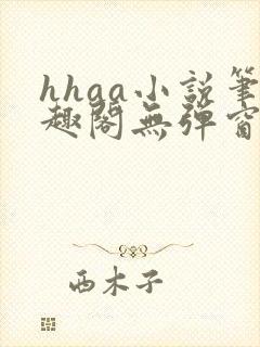 hhaa小说笔趣阁无弹窗最新章节封面