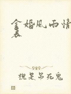 金婚风雨情演员表