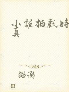 小说拍戏时假戏真