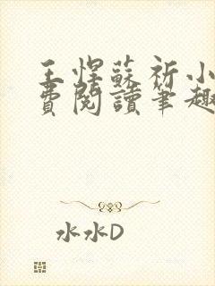 王悍苏祈小说免费阅读笔趣阁最新