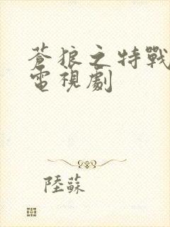 苍狼之特战突击电视剧