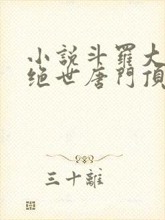 小说斗罗大陆2绝世唐门顶点