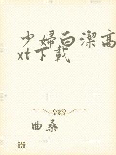 少妇白洁高义txt下载