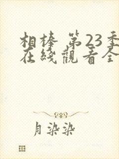 相棒 第23季在线观看全集免费播放