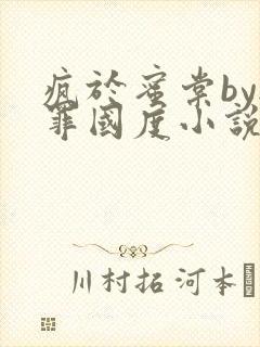 疯于蜜棠by无罪国度小说免费阅读