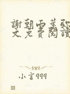 谢朝雨叶弥音全文免费阅读最新章节