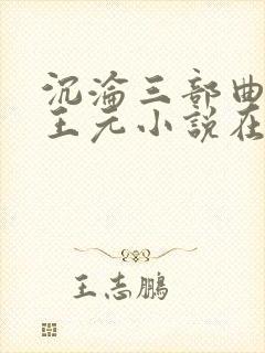 沉沦三部曲陈洁王元小说在线阅读