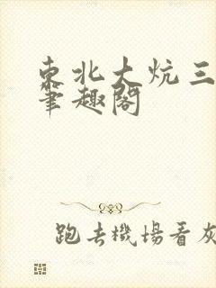 东北大炕三部曲笔趣阁
