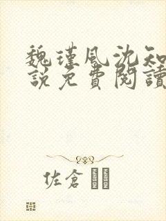 魏瑾风沈知玉小说免费阅读最新章节