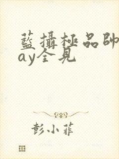 蓝摄极品帅男gay全见